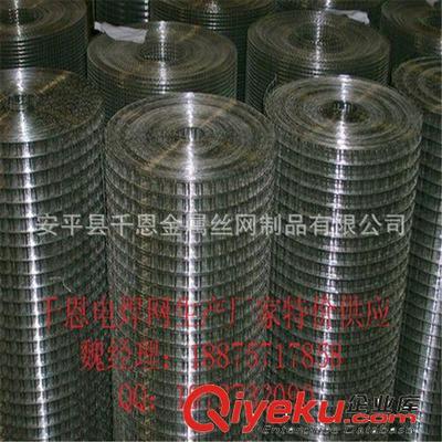 【誠信廠家供應】大絲電焊網 圈玉米的網 通風透氣-安平縣千恩金屬絲網制品提供【誠信廠家供應】大絲電焊網 圈玉米的網 通風透氣的相關介紹、產品、服務、圖片、價格安平縣千恩金屬絲網制品、護欄網;鋼格板;鋼板網;石籠網;荷蘭網;美格網;沖孔網;隔離柵;塑料網;不銹鋼網;防風抑塵網;聲屏障;刀片刺繩;過濾網;電焊網;土工格柵;金剛網;軋花網;勾花網;防護網